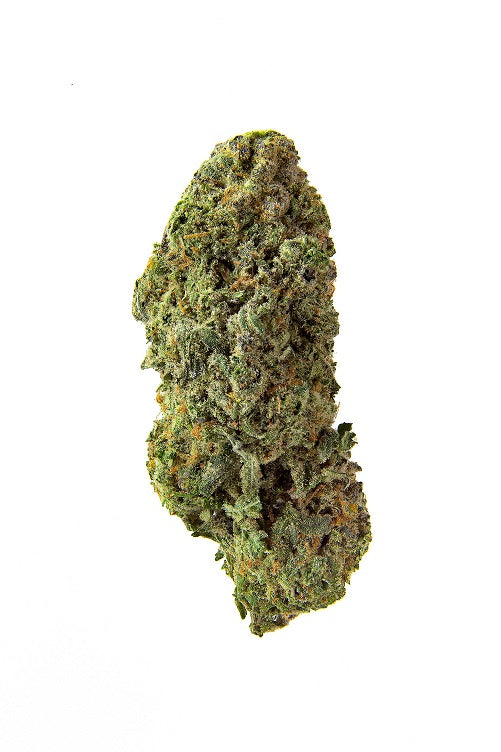 BANDWAGON SATIVA ROTATIONAL
