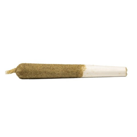 TIGER BLOOD INFUSED PRE-ROLLS