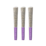 BLACKBERRY BREATH PRE-ROLL