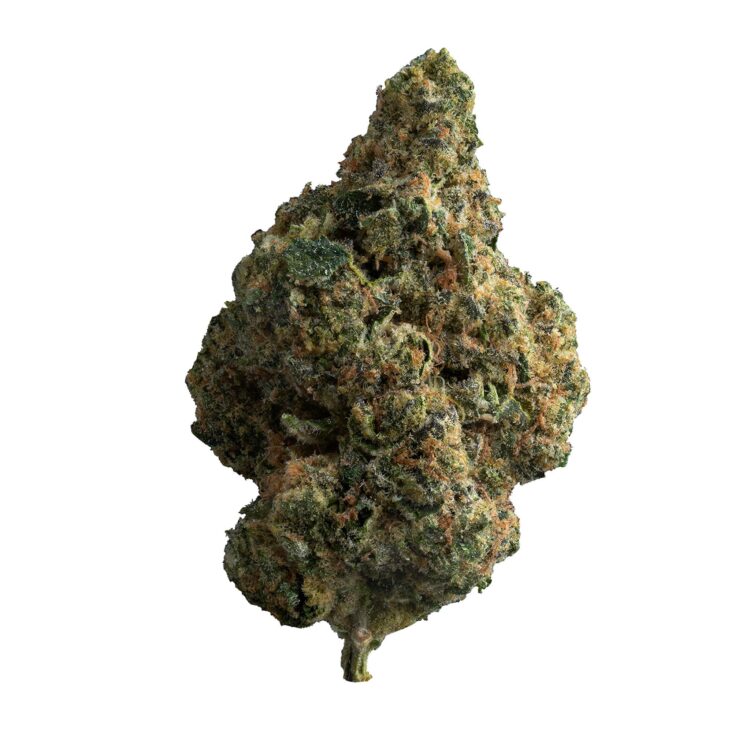 EXOTIC GAS