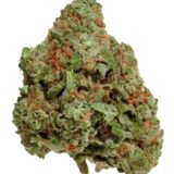 BLUEBERRY SEAGAL