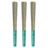 RAINBOW LAVA PRE-ROLLS