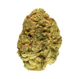 MELON DREAM