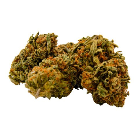 GORILLA ZKITTLEZ