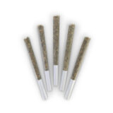MILANO COOKIE PRE-ROLLS