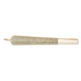 JOYRIDE PRE-ROLLS