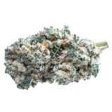 KUSH BREATH