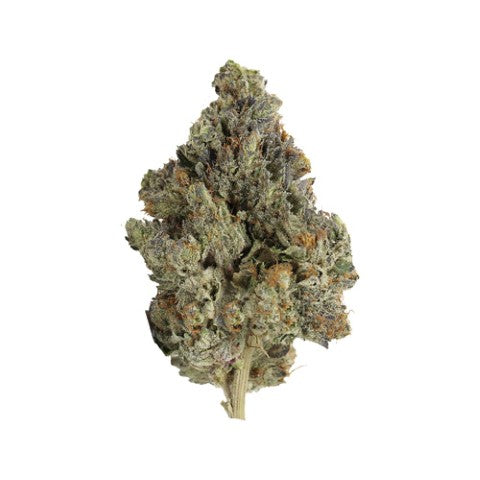 MASTER KUSH ULTRA