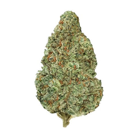 CHEMZILLA