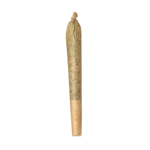 TIMEWARP PRE-ROLL
