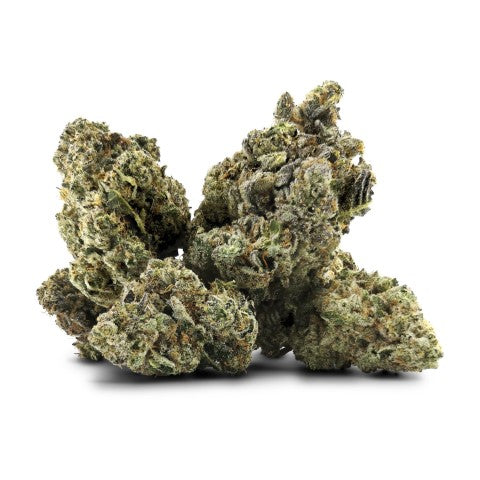 GALACTICA OG