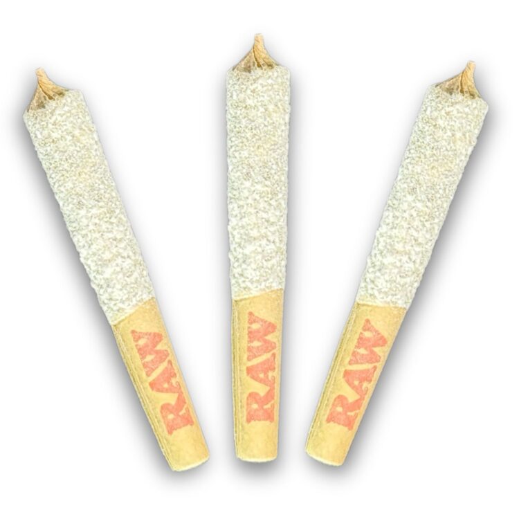 PURPLE ELEPHANT 50S TRIPLE INFUSED PRE-ROLLS