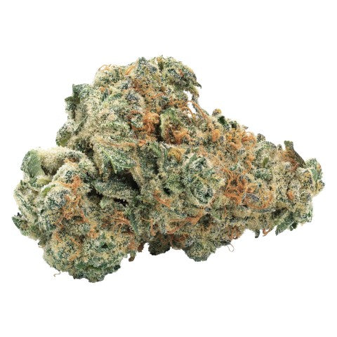 BBOB GMO KUSH