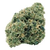 NORTHERN OG KUSH