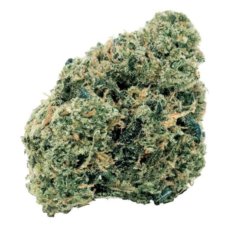NORTHERN OG KUSH
