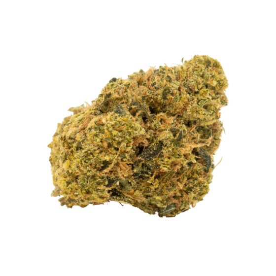 WHITE WIDOW X