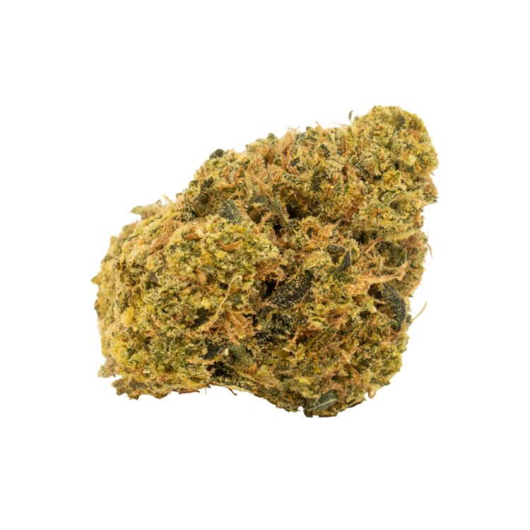 WHITE WIDOW X