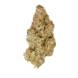 BC ORGANIC PINK DRIP LTO
