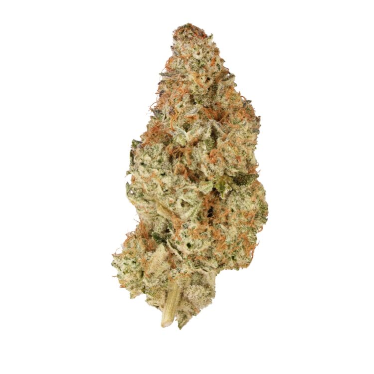 BC ORGANIC PINK DRIP LTO