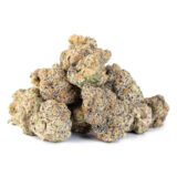 BIG SMALLZ ESPRESSO CNDY LTO