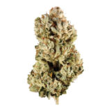 GG#4