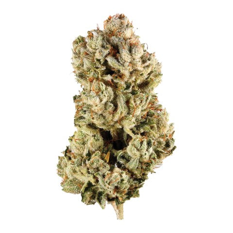 GG#4