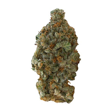GSC
