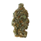 GSC