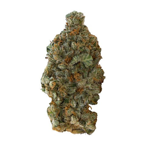 GSC