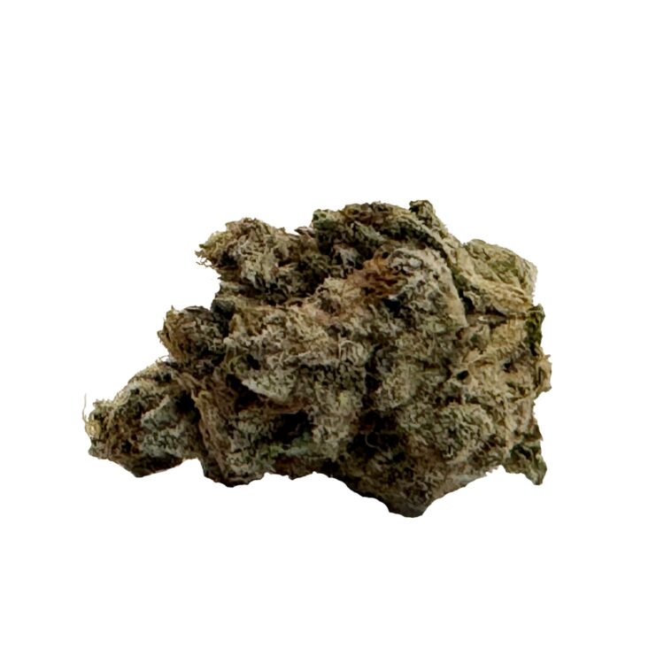 EL JEFE