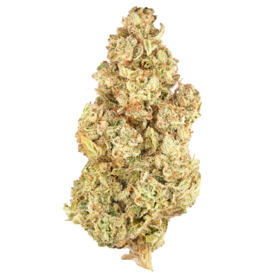 BC ORGANIC LEMON LOOPZ LTO