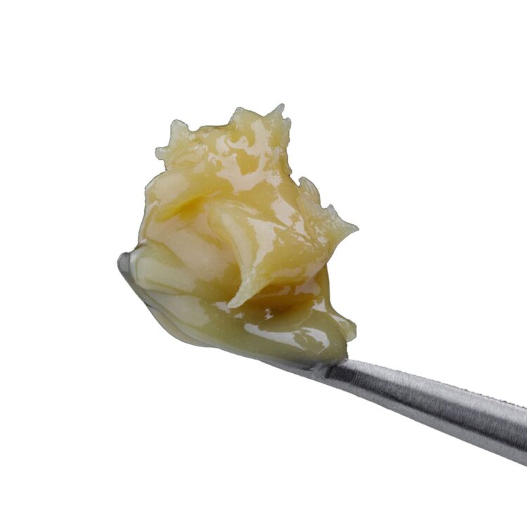 WHITE GOLD LIVE ROSIN LTO
