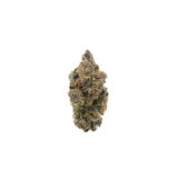 TROPICAL SKUNK