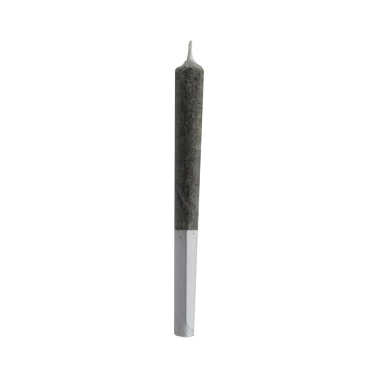 HIGH THC BANGER INFUSED PRE-ROLL