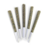 LOUD DREAM PRE-ROLLS