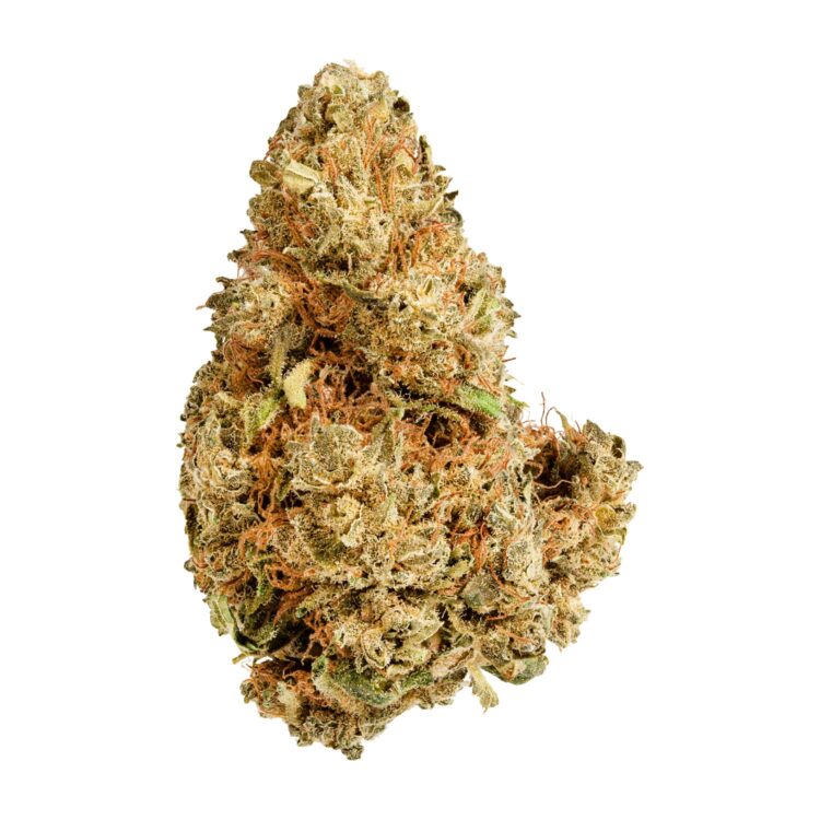 PURPLE AFGHANI